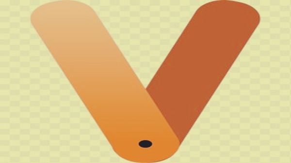 નામનો પહેલો અક્ષર V હોય