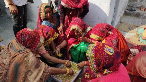 ઈતિહાસના લેક્ચરરની પોસ્ટ પર પસંદગી