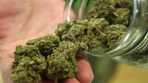 11 કિલો ગાંજા સાથે બે ઝડપાયા, આર્મી જવાનનું મોત