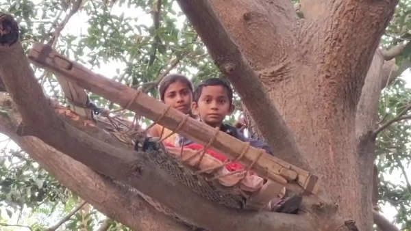 વડોદરા: આખલાના ત્રાસથી ગ્રામજનો ઝાડ પર સુવા મજબુર બન્યા