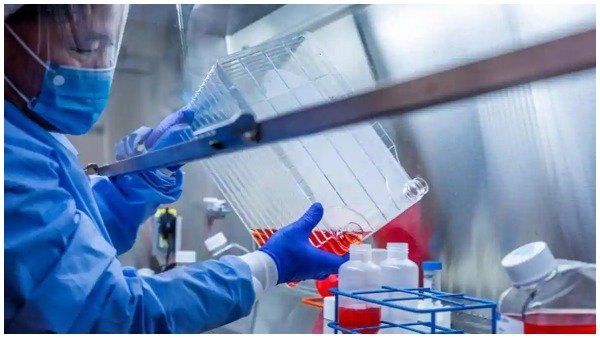 શનિવારના રોજ 230 નવા કેસ નોંધાયા