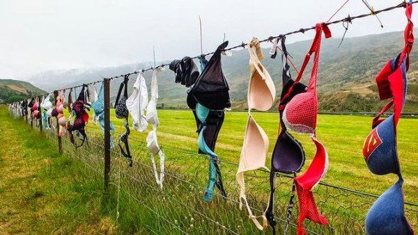 પ્રવાસીઓમાં પણ લોકપ્રિય છે આ જગ્યા