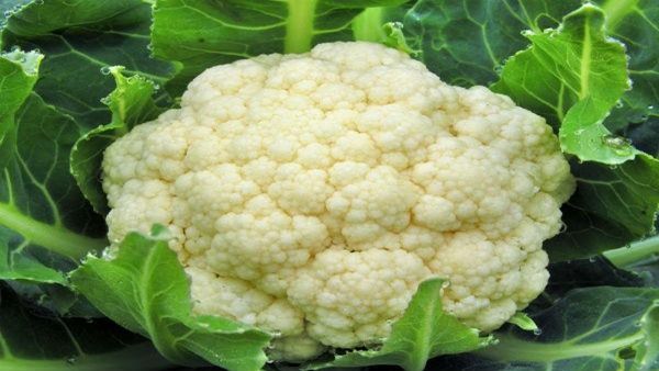 5. ફૂલાવર