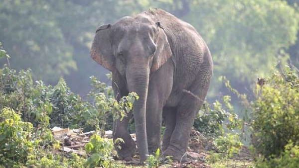 સરકારના આશ્રયમાં યુવાનો