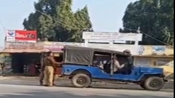 વાયરલ ફની વીડિયો