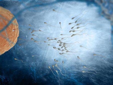 હાયપરસ્પર્મિયાનું નિદાન કઇ રિતે થાય છે?