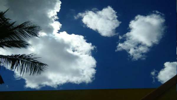 આ રાજ્યોમાં પડશે વરસાદ