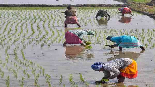 'શાંત' થયેલા મોટાભાગના ખેડૂતો સાથે ખોટું થયું!