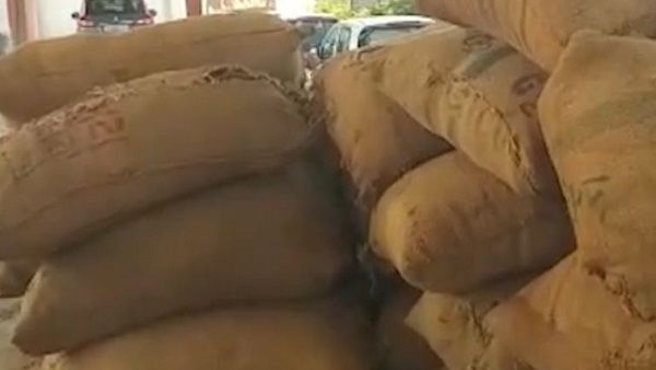 હિંમતગરના કોટન માર્કેટમાં આજથી તમાકુની ખરીદી શરૂ