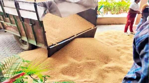 પંજાબમાં તૂટ્યો પાક ખરીદીનો 5 વર્ષનો રેકૉર્ડ, આપની સરકાર બનવા પર વેચાયા 4.3 લાખ મેટ્રિક ટન ઘઉં