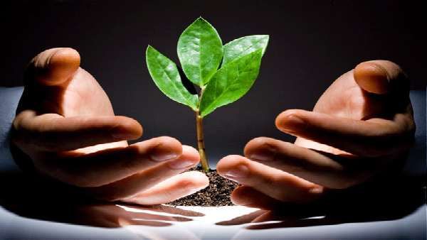 સંયુક્ત રાષ્ટ્રનુ મળ્યુ સમર્થન