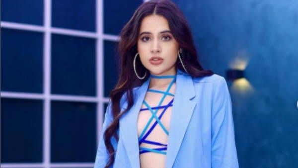 ટીવી પર કરી ચૂકી છે કામ