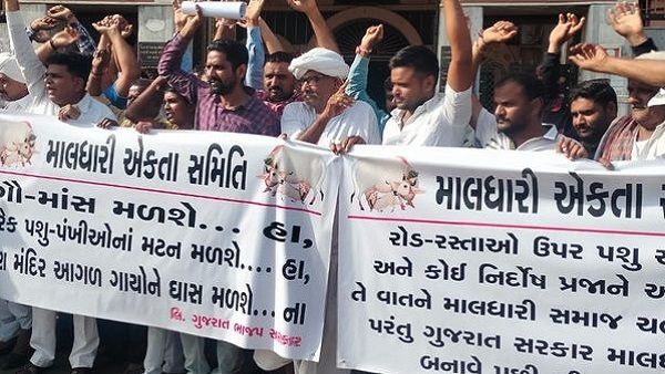 પાછુ પગલુ ભરવાની તૈયારીમાં રાજ્ય સરકાર, ઢોર નિયંત્રણ બિલ મુદ્દે કાલે માલધારીઓ સાથે બેઠક!
