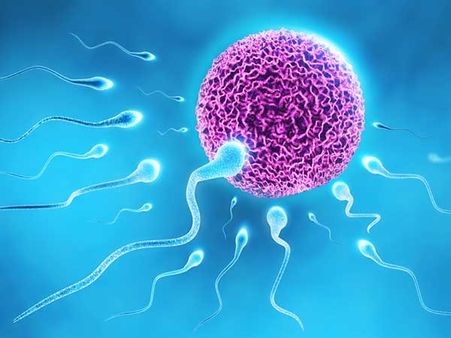 એગ ડોનેશન અને IVF વચ્ચે તફાવત