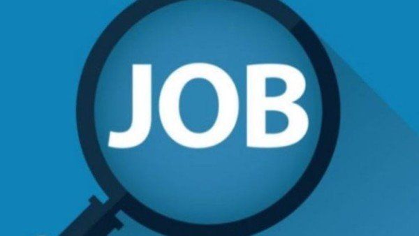 Delhi Police Recruitment : દિલ્હી પોલીસમાં ભરતી, જાણો અરજી કરવાની સંપૂર્ણ પ્રક્રિયા