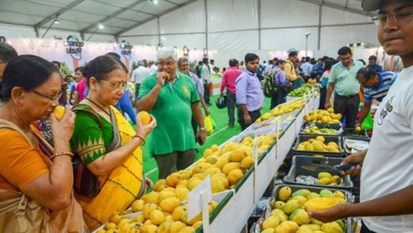 આલ્ફોન્સો કેરીએ છેલ્લા કેટલાક વર્ષોમાં સ્પોન્ગી પેશીઓ વિકસાવી આલ્ફોન્સો કેરીએ છેલ્લા કેટલાક વર્ષોમાં સ્પોન્ગી પેશીઓ વિકસાવી