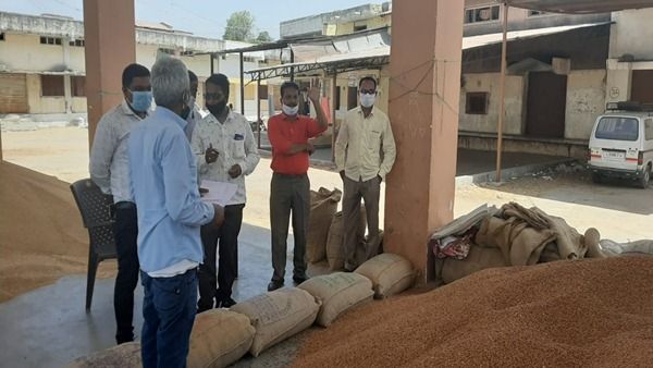 ચાલુ વર્ષે અત્યાર સુધીની થઇ સૌથી વધુ ચણાની ખરીદી
