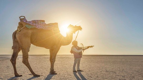 વિદેશી પ્રવાસીઓને આકર્ષવા PM મોદીએ કચ્છીઓને કરી આવી અપીલ