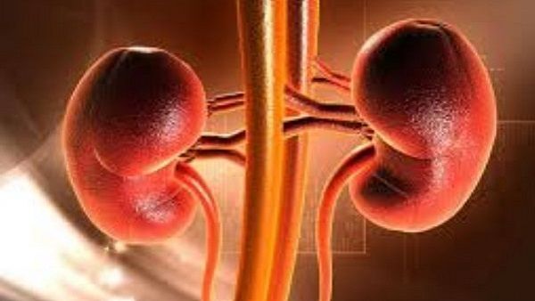 પેશાબના રંગનો અર્થ શું છે?