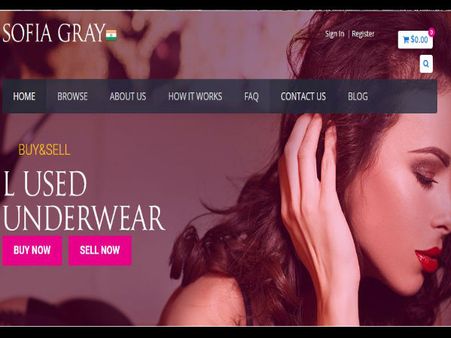 અમેરિકન વેબસાઇટ અમેરિકન વેબસાઇટ