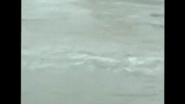 J&Kમાં ધોધમાર વરસાદ, દેવિકા નદીના જળસ્તરમાં થયો વધારો, ઘણા વાહનો તણાયા