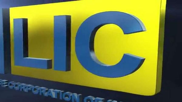 LIC IPO અંગે નિષ્ણાતોનો આ અભિપ્રાય છે