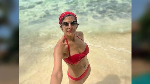 ફેન્સને ઘાયલ કર્યા