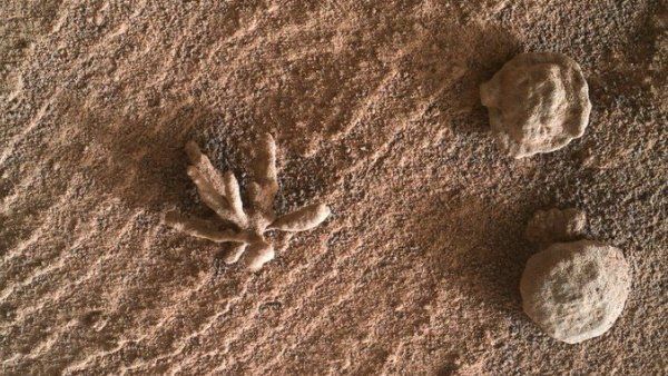 નાસાએ શું કહ્યું? નાસાએ શું કહ્યું?