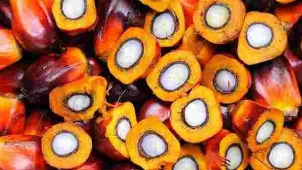 ઘણા ઉત્પાદનોમાં વપરાય છે ઘણા ઉત્પાદનોમાં વપરાય છે