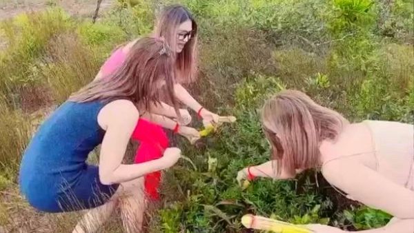 કુદરતી સંસાધનો પ્રેમ કરો