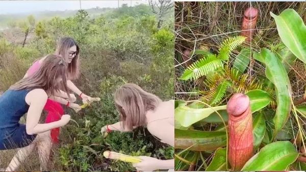 પહેલા પણ ચેતવણી આપી હતી