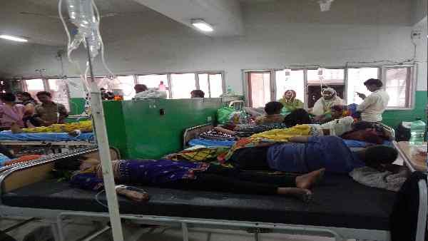 ટોમેટો ફ્લૂની સારવાર