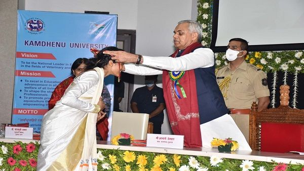 કામધેનું યૂનિવર્સિટીનો 8 મો દિક્ષાંત સમારોહ યોજાયો, 673 વિદ્યાર્થીઓએ મેળવી પદવી