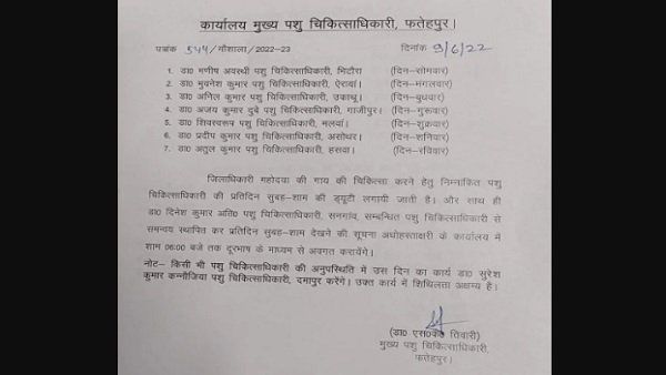 ગાયની સારસંભાળની સાથે રિપોર્ટ કરવો પડે છે ફાઇલ