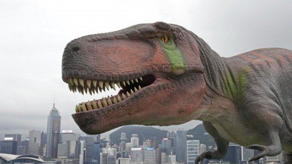 અશ્મિ ઇતિહાસમાં પ્રથમ વખત!