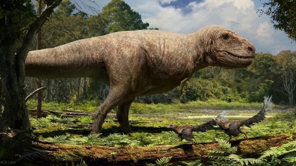 ડીયુના સંશોધક ડો.હર્ષ ધીમાનનું નિવેદન