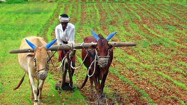 ખેડૂતોને વર્ષે 6 હજારની સહાય મળે છે