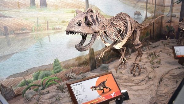 ડાયનાસોર મ્યુઝિયમ બનતા વિશ્વ પ્રવાસીઓ આવશે ગુજરાત