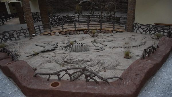 ૨૬મી જૂને મુખ્યમંત્રી ભૂપેન્દ્ર પટેલ ડાયનાસોર મ્યુઝિયમ ફેઝ-રનું કરશે લોકાર્પણ