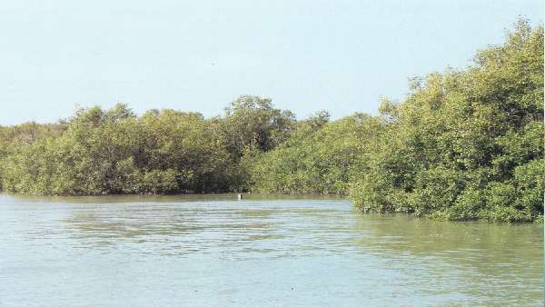 પ્રકૃતિની સંરક્ષણ દિવાલ