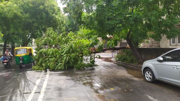 વરસાદના કારણે સૌરાષ્ટ્રમાં બે અને ઉત્તર ગુજરાતમાં 1નું મોત