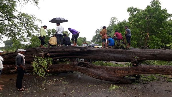 ખાંટનું ઘટનાસ્થળે જ મોત નીપજ્યું ખાંટનું ઘટનાસ્થળે જ મોત નીપજ્યું