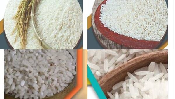 આગળ જતા પરિસ્થિતી થઇ શકે છે ગંભીર આગળ જતા પરિસ્થિતી થઇ શકે છે ગંભીર