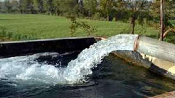 AAP સરકાર નવા ટ્યુબવેલ કનેક્શન આપવા માટે ટૂંક સમયમાં પૉલિસી શરૂ કરશે: પંજાબના ઉર્જા મંત્રી