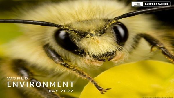 વિશ્વ પર્યાવરણ દિવસની ઉજવણીની શરૂઆત વિશ્વ પર્યાવરણ દિવસની ઉજવણીની શરૂઆત