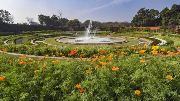 હવે દિલ્લીના પાર્કો બનશે સુગંધિત, LGના નિર્દેશ બાદ લગાવાશે 10 હજાર ચંદનના છોડ