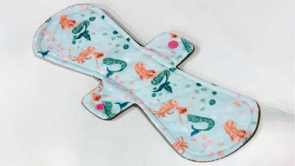 રિયુઝેબલ પેડના ફાયદા રિયુઝેબલ પેડના ફાયદા