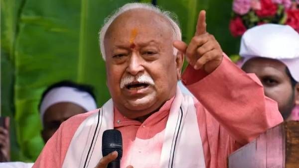 'શક્તિશાળી જ જીવતો રહેશે, આ જંગલનો નિયમ છે'