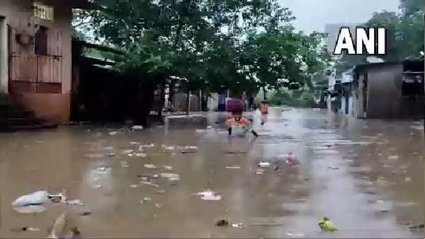 વરસાદના કારણે રાજ્યમાં તારાજી