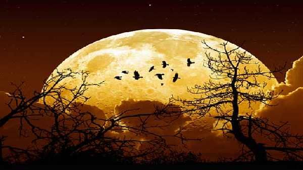 પૃથ્વી પર પણ પડશે પ્રભાવ